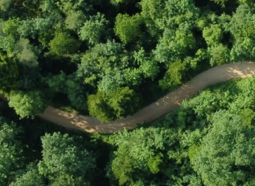 Ecowild