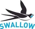 Swallow