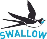 Swallow