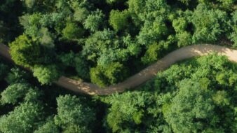 Thumbnail for article Eco Kids Workshops this August